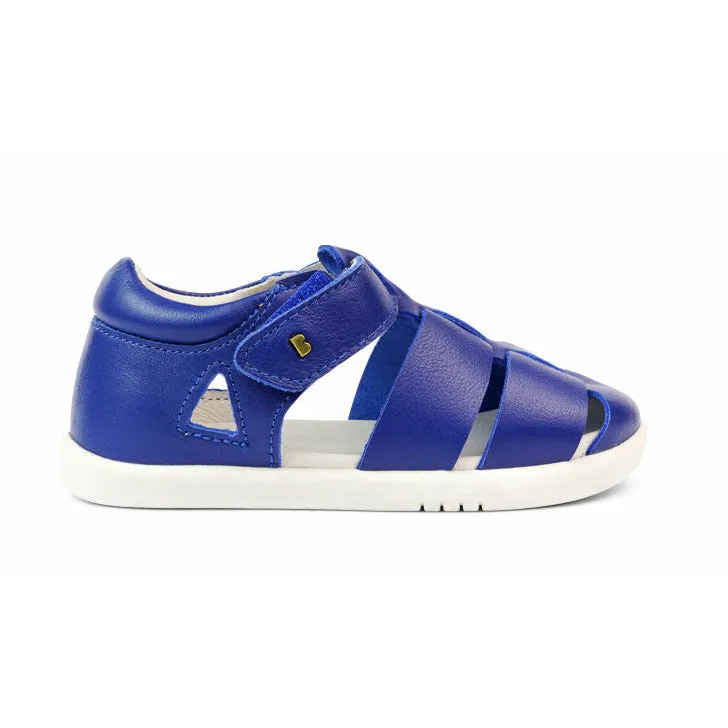 IW Tidal Blueberry