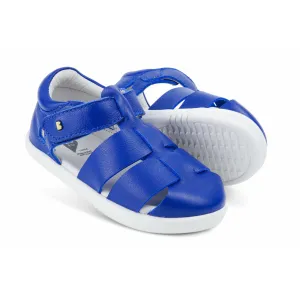 IW Tidal Blueberry