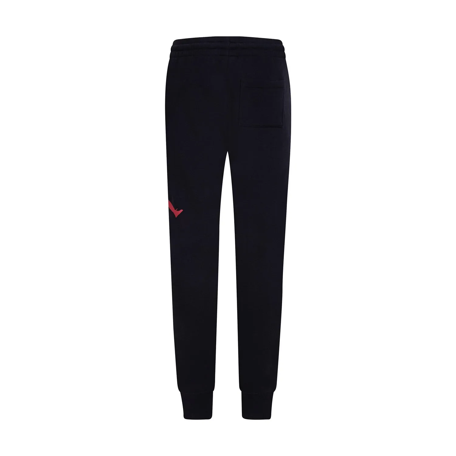 Jumpman Baseline Pant - Youth