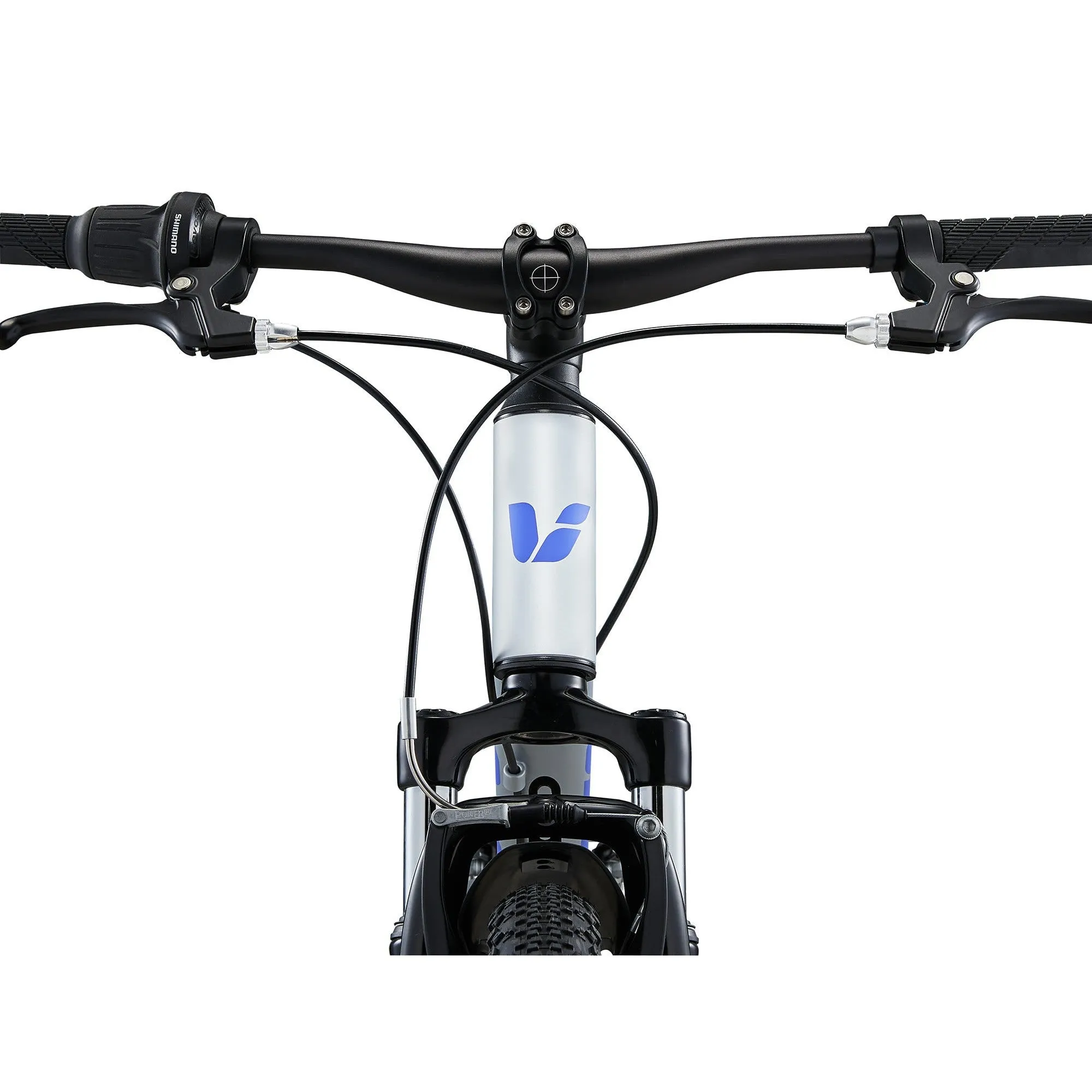 Liv 2025 Tempt 24 Kids Bike