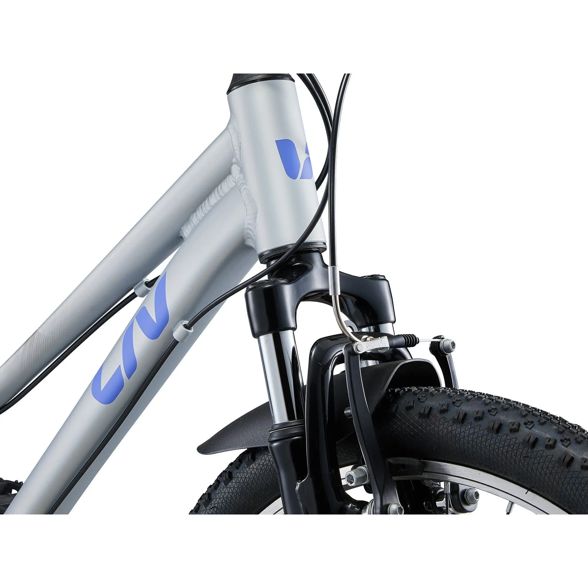 Liv 2025 Tempt 24 Kids Bike