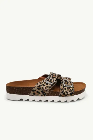 Megan Leopard