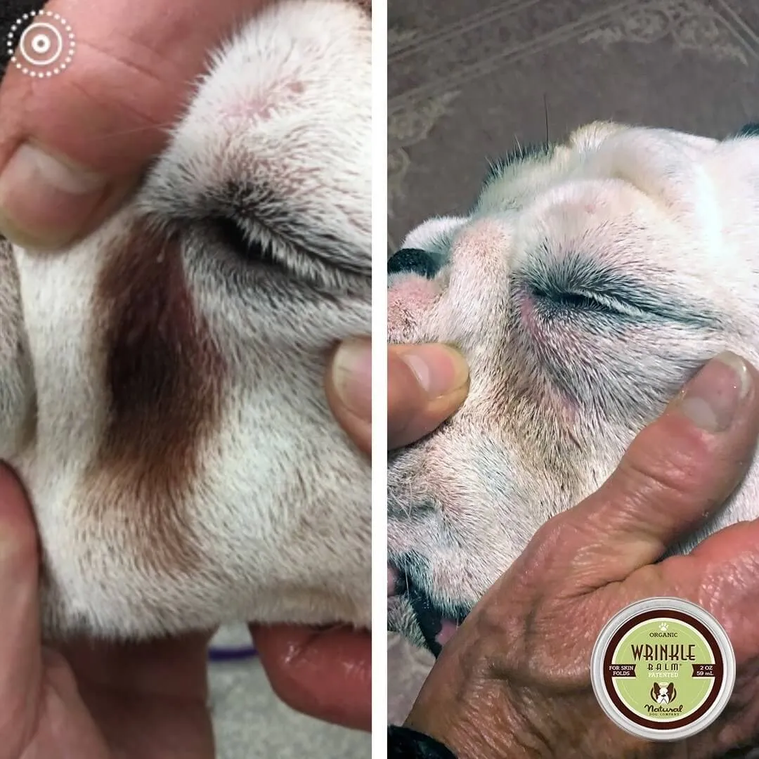 Natural Dog Company Wrinkle Balm®