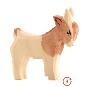 Ostheimer Goat - Small Kid Standing