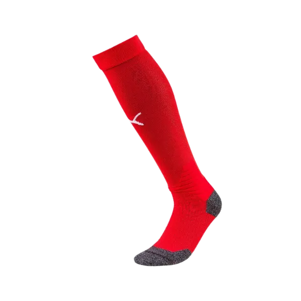 Puma Team LIGA Socks