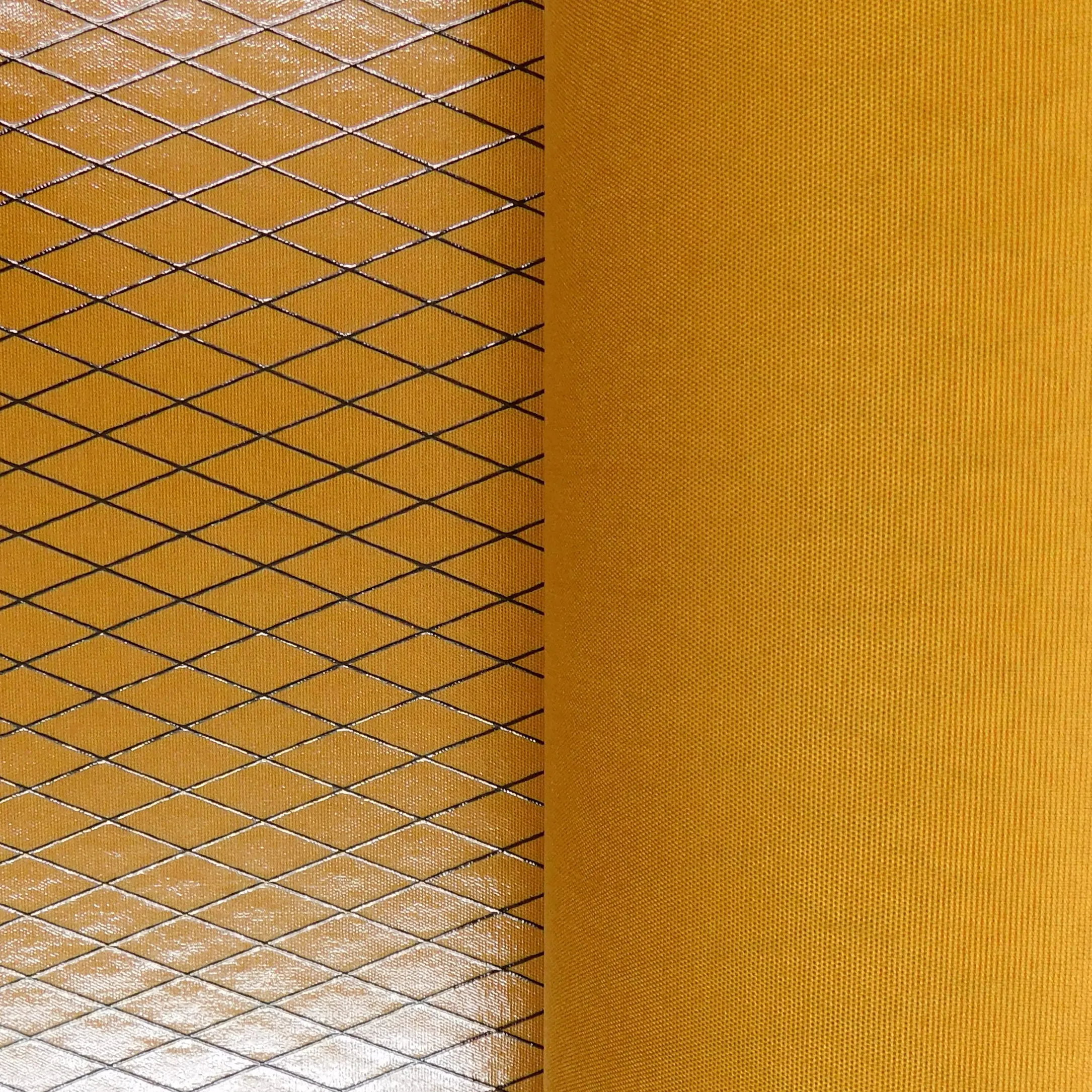 [在庫限り]X-PAC X51 HS 1400mm